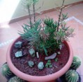 /album/mis-adquisiciones/img-20131027-wa0000-jpg1/